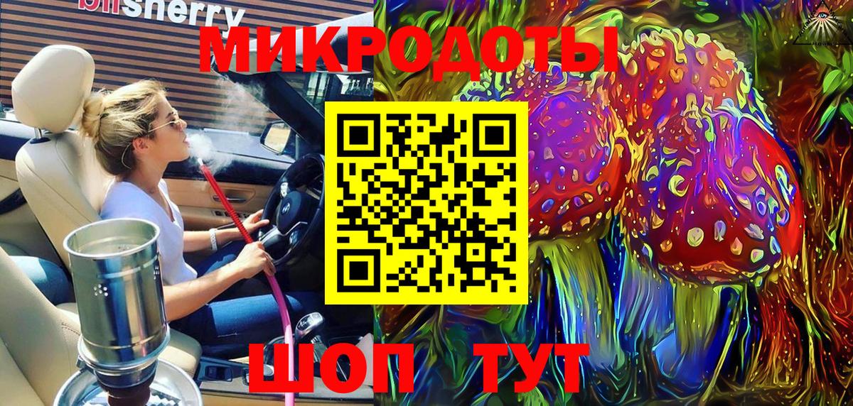 Псилоцибиновые грибы Psilocybine cubensis Михайловск