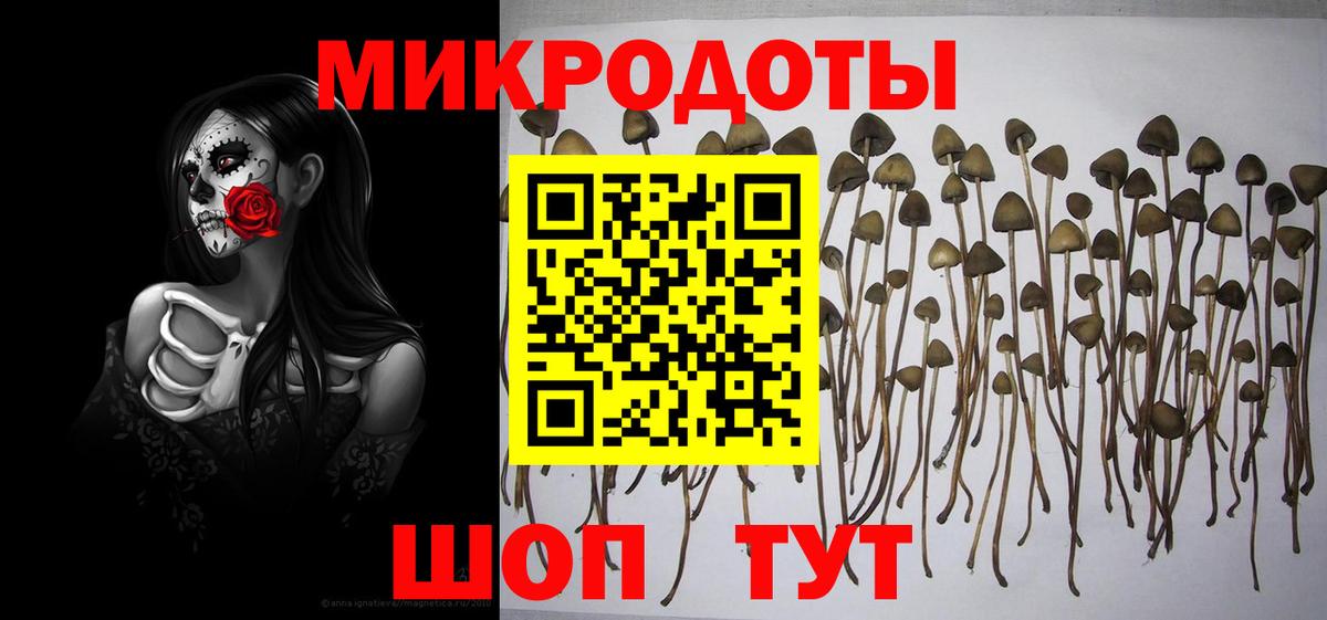 Михайловск  Галлюциногенные грибы MAGIC MUSHROOMS  Галлюциногенные грибы MAGIC MUSHROOMS  Вход с VPN 