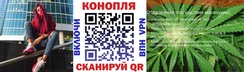 Конопля THC 21%  блэк спрут ссылка  Михайловск 